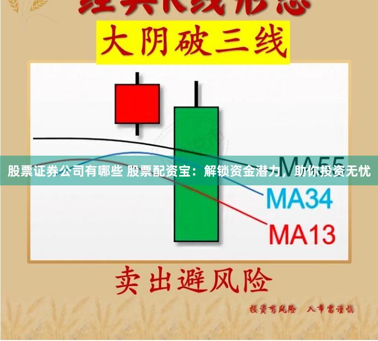 股票证券公司有哪些 股票配资宝：解锁资金潜力，助你投资无忧