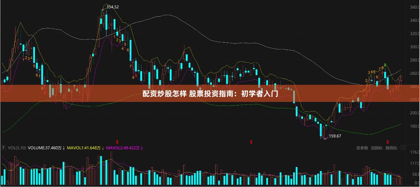 配资炒股怎样 股票投资指南:初学者入门