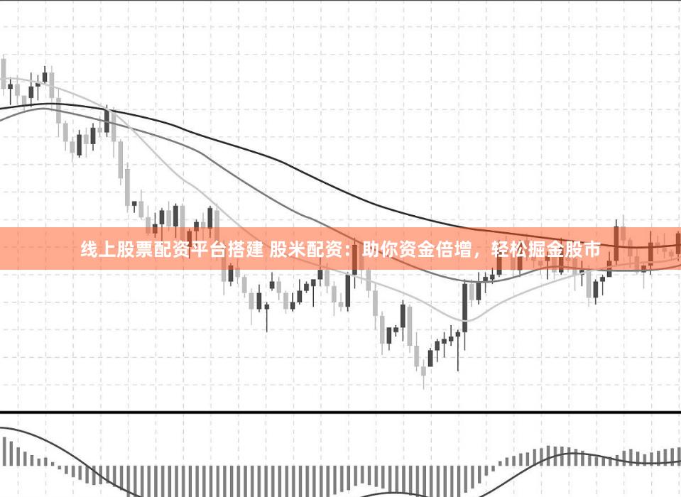 线上股票配资平台搭建 股米配资:助你资金倍增,轻松掘金股市